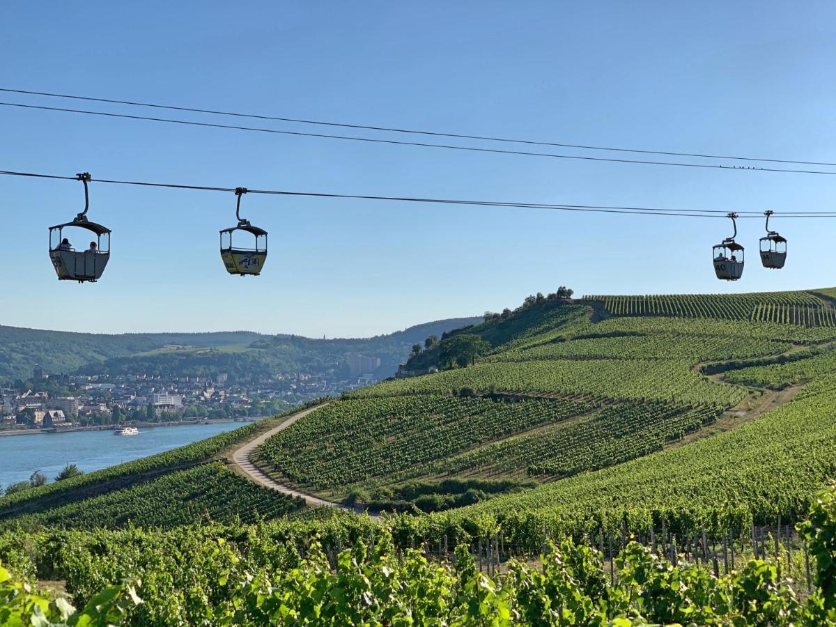 Fewo Zur Goldenen Traube Διαμέρισμα Rüdesheim am Rhein Εξωτερικό φωτογραφία