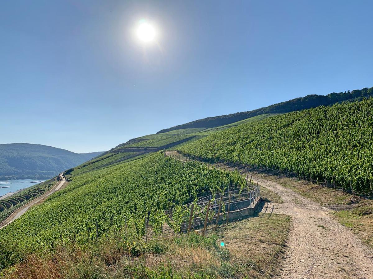 Fewo Zur Goldenen Traube Διαμέρισμα Rüdesheim am Rhein Εξωτερικό φωτογραφία