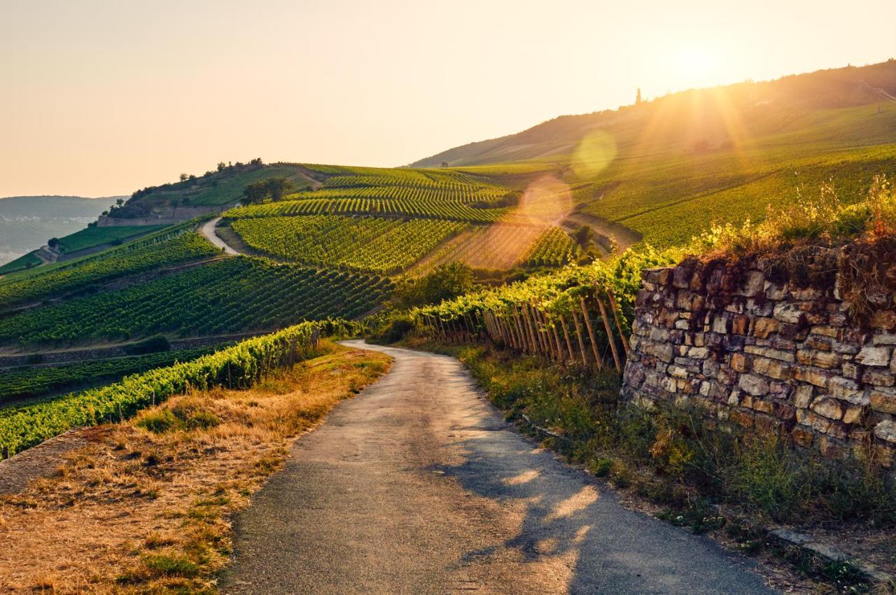 Fewo Zur Goldenen Traube Διαμέρισμα Rüdesheim am Rhein Εξωτερικό φωτογραφία